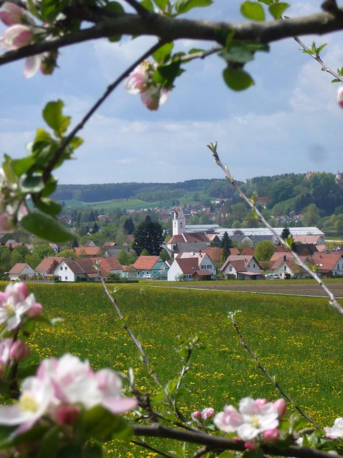 Ferienwohnungenaufdemdorf Nahe Legoland Neuburg an der Kammel Zewnętrze zdjęcie
